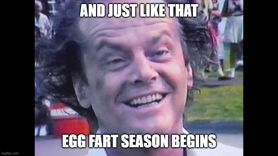 AND JUST LIKE THAT; EGG FART SEASON BEGINS | image tagged in eggs,fart joke | made w/ Imgflip meme maker