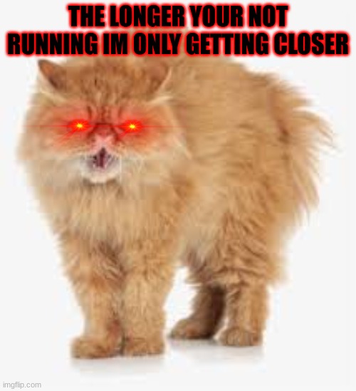 run run run | THE LONGER YOUR NOT RUNNING IM ONLY GETTING CLOSER | image tagged in mad cat | made w/ Imgflip meme maker