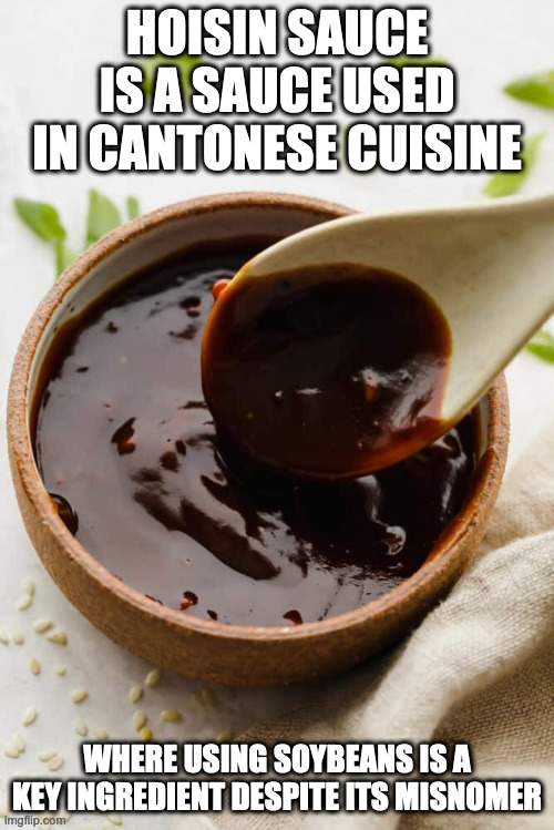 Hoisin Sauce | HOISIN SAUCE IS A SAUCE USED IN CANTONESE CUISINE; WHERE USING SOYBEANS IS A KEY INGREDIENT DESPITE ITS MISNOMER | image tagged in sauce,memes | made w/ Imgflip meme maker