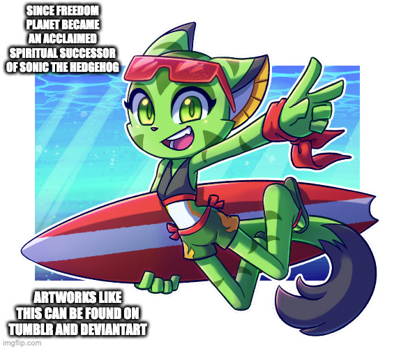 Summer Carol Tea | SINCE FREEDOM PLANET BECAME AN ACCLAIMED SPIRITUAL SUCCESSOR OF SONIC THE HEDGEHOG; ARTWORKS LIKE THIS CAN BE FOUND ON TUMBLR AND DEVIANTART | image tagged in freedom planet,carol tea,memes | made w/ Imgflip meme maker