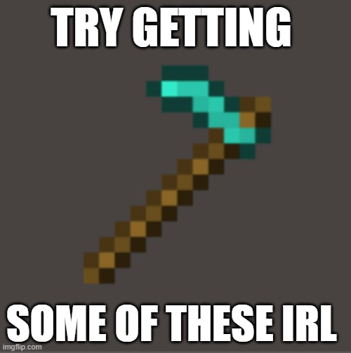 you won't? | TRY GETTING; SOME OF THESE IRL | image tagged in minecraft diamond hoe | made w/ Imgflip meme maker