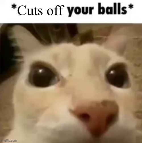 X your balls | Cuts off | image tagged in x your balls | made w/ Imgflip meme maker