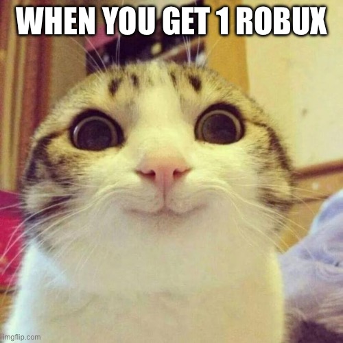 We All Had This Right?? | WHEN YOU GET 1 ROBUX | image tagged in memes,smiling cat | made w/ Imgflip meme maker