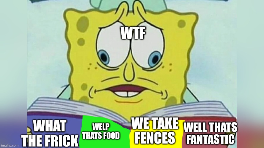 idk | WTF; WE TAKE FENCES; WHAT THE FRICK; WELP THATS FOOD; WELL THATS FANTASTIC | image tagged in sponge bob reading book | made w/ Imgflip meme maker