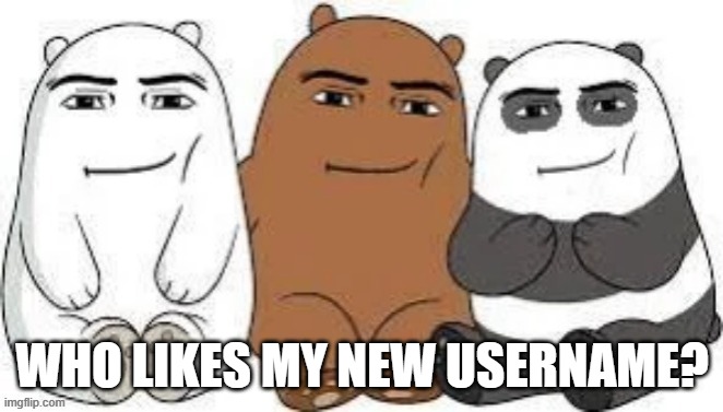 We Bear Man Face | WHO LIKES MY NEW USERNAME? | made w/ Imgflip meme maker