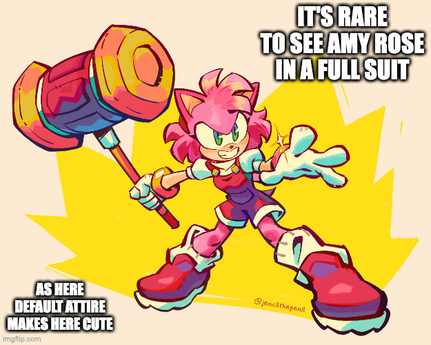 Amy Rose Full Suit | IT'S RARE TO SEE AMY ROSE IN A FULL SUIT; AS HERE DEFAULT ATTIRE MAKES HERE CUTE | image tagged in amy rose,sonic the hedgehog,memes | made w/ Imgflip meme maker