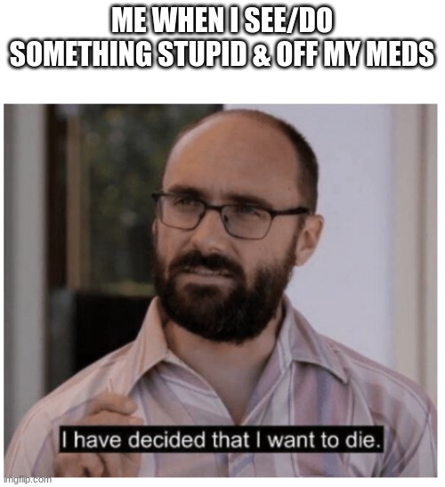 I have decided that I want to die. | ME WHEN I SEE/DO SOMETHING STUPID & OFF MY MEDS | image tagged in i have decided that i want to die | made w/ Imgflip meme maker