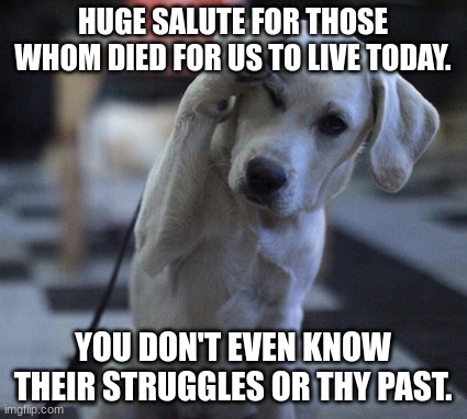 You don't even know. | HUGE SALUTE FOR THOSE WHOM DIED FOR US TO LIVE TODAY. YOU DON'T EVEN KNOW THEIR STRUGGLES OR THY PAST. | image tagged in dog saluting | made w/ Imgflip meme maker
