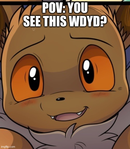 ... | POV: YOU SEE THIS WDYD? | image tagged in unsettled eevee | made w/ Imgflip meme maker