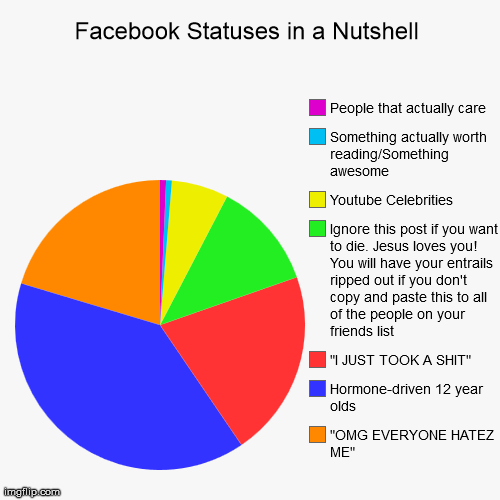 Pretty much everything to ever exist on Facebook. Ever. Of all time. | image tagged in funny,pie charts | made w/ Imgflip chart maker