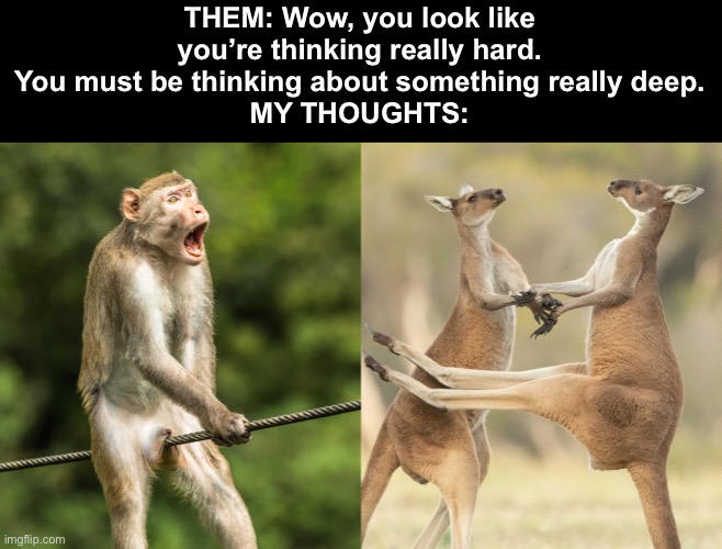Cmon this happens to all of us! | THEM: Wow, you look like you’re thinking really hard. You must be thinking about something really deep.
MY THOUGHTS: | image tagged in funny,iceu | made w/ Imgflip meme maker