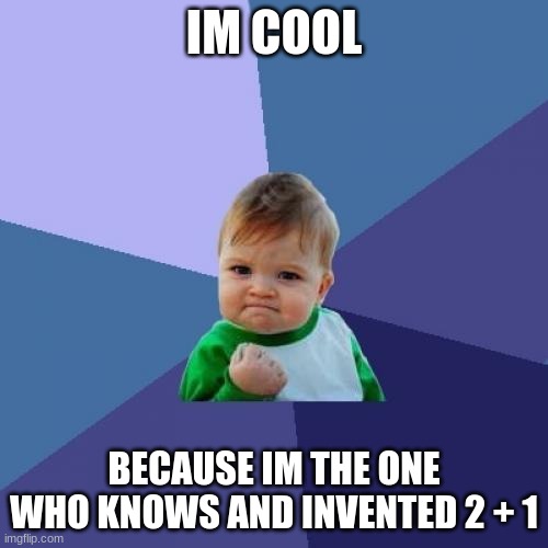 You little man. | IM COOL; BECAUSE IM THE ONE WHO KNOWS AND INVENTED 2 + 1 | image tagged in memes,success kid | made w/ Imgflip meme maker