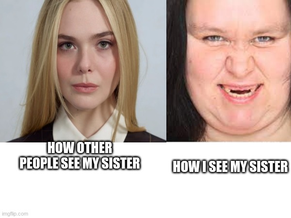 PEOPLE ARE WEIRD!!!!! | HOW OTHER PEOPLE SEE MY SISTER; HOW I SEE MY SISTER | image tagged in relatable,funny memes | made w/ Imgflip meme maker