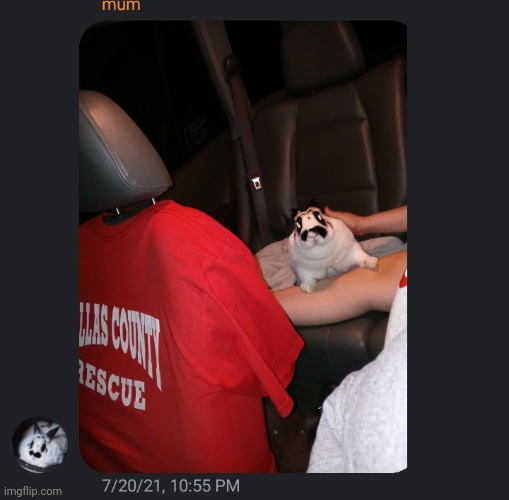 OML I DIDNT KNOW THIS WAS IN 2021 DANG- | made w/ Imgflip meme maker