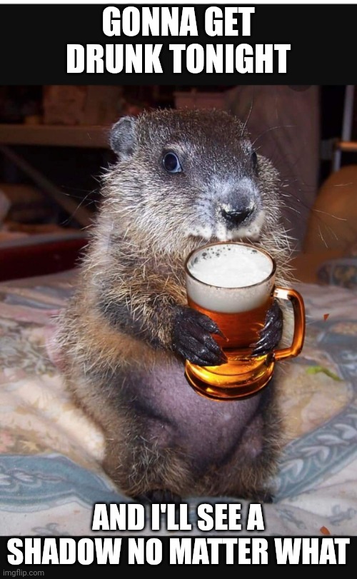 GONNA HAVE A LONG WINTER NO MATTER WHAT | GONNA GET DRUNK TONIGHT; AND I'LL SEE A SHADOW NO MATTER WHAT | image tagged in groundhog day,groundhog,drinking,drunk | made w/ Imgflip meme maker
