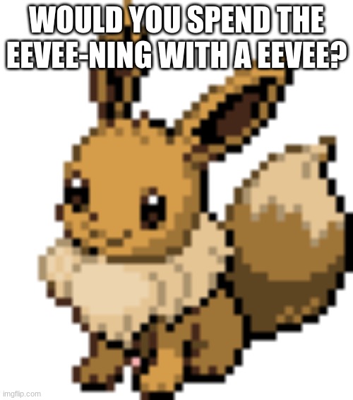 a survey | WOULD YOU SPEND THE EEVEE-NING WITH A EEVEE? | image tagged in eevee | made w/ Imgflip meme maker