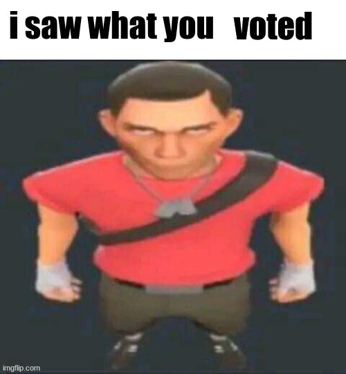 i saw what you deleted scout | voted | image tagged in i saw what you deleted scout | made w/ Imgflip meme maker