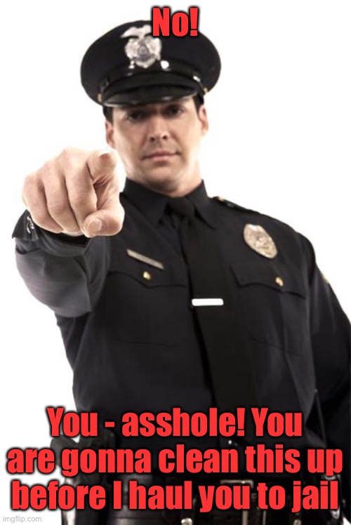 Police | No! You - asshole! You are gonna clean this up before I haul you to jail | image tagged in police | made w/ Imgflip meme maker