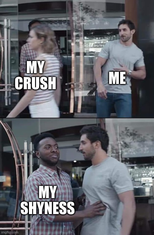 black guy stopping | ME; MY CRUSH; MY SHYNESS | image tagged in black guy stopping | made w/ Imgflip meme maker