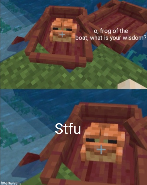 Frog of the boat | Stfu | image tagged in frog of the boat | made w/ Imgflip meme maker