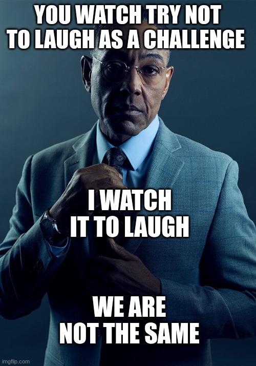 e |  YOU WATCH TRY NOT TO LAUGH AS A CHALLENGE; I WATCH IT TO LAUGH; WE ARE NOT THE SAME | image tagged in gus fring we are not the same | made w/ Imgflip meme maker