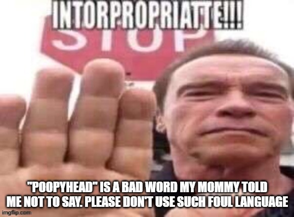 my mommy checks my computer | "POOPYHEAD" IS A BAD WORD MY MOMMY TOLD ME NOT TO SAY. PLEASE DON'T USE SUCH FOUL LANGUAGE | image tagged in intorpropriatte | made w/ Imgflip meme maker