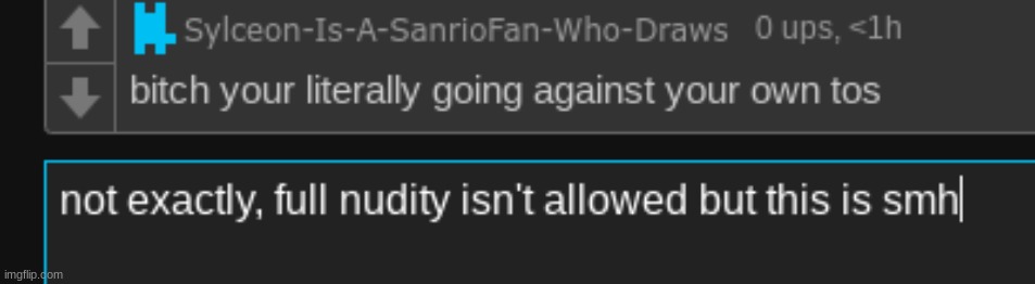 if it isn't showing actual genitals/nipples, it's allowed so technically it isn't breaking the tos, but he is coming damn close | made w/ Imgflip meme maker