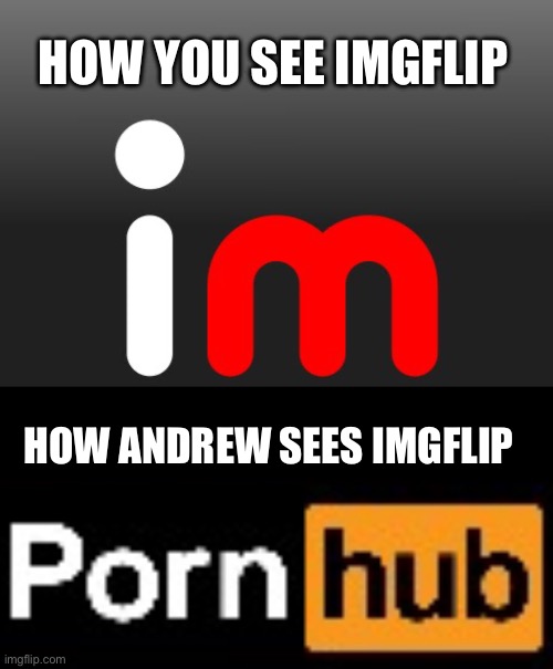 HOW YOU SEE IMGFLIP HOW ANDREW SEES IMGFLIP | image tagged in imgflip logo | made w/ Imgflip meme maker