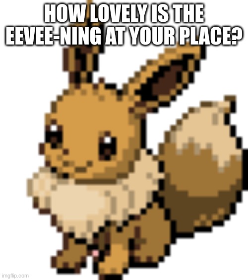 survey | HOW LOVELY IS THE EEVEE-NING AT YOUR PLACE? | image tagged in eevee | made w/ Imgflip meme maker