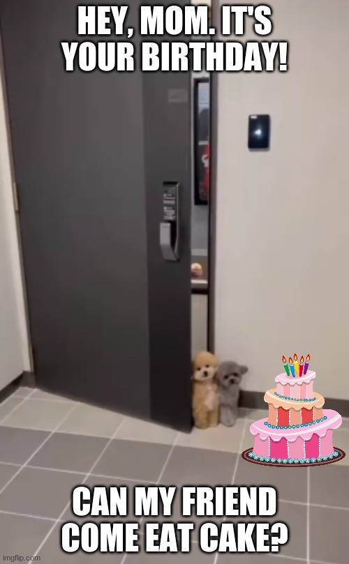 Birthday pups | HEY, MOM. IT'S YOUR BIRTHDAY! CAN MY FRIEND COME EAT CAKE? | image tagged in birthday,dog lovers,dogs,puppies,cake | made w/ Imgflip meme maker