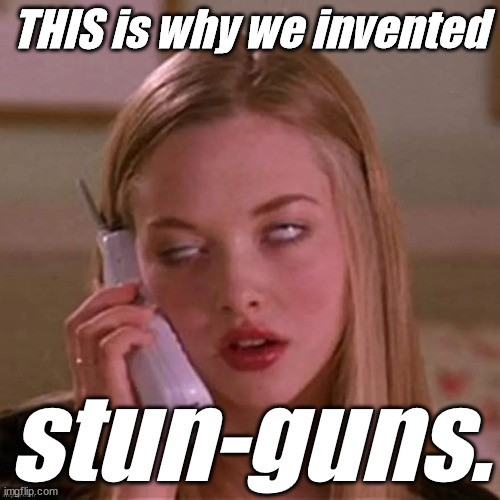 When Karen thinks you're stupid... | THIS is why we invented stun-guns. | image tagged in when karen thinks you're stupid | made w/ Imgflip meme maker