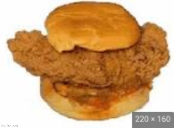 chicken | image tagged in sandwich | made w/ Imgflip meme maker