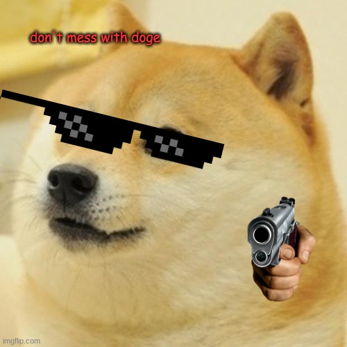 don't mess with doge | don't mess with doge | image tagged in memes,doge | made w/ Imgflip meme maker