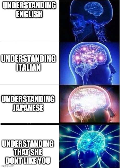 to zaiden who keeps getting rejected | UNDERSTANDING ENGLISH; UNDERSTANDING ITALIAN; UNDERSTANDING JAPANESE; UNDERSTANDING THAT SHE DONT LIKE YOU | image tagged in memes | made w/ Imgflip meme maker