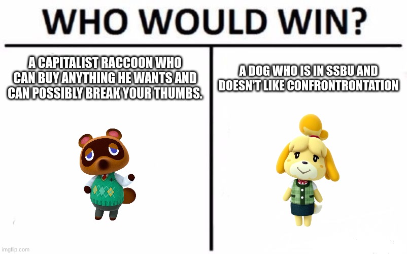 Who Would Win? | A CAPITALIST RACCOON WHO CAN BUY ANYTHING HE WANTS AND CAN POSSIBLY BREAK YOUR THUMBS. A DOG WHO IS IN SSBU AND DOESN'T LIKE CONFRONTRONTATION | image tagged in memes,who would win | made w/ Imgflip meme maker