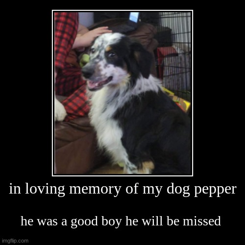 May the good boy rest in peace | image tagged in demotivationals,dog,sad,good boy,love,fun | made w/ Imgflip demotivational maker