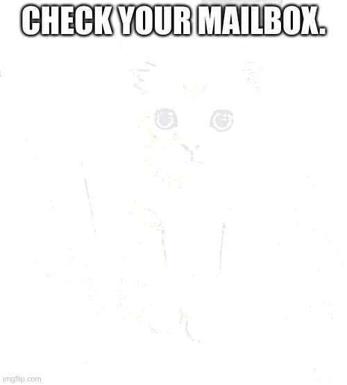 Cute Cat | CHECK YOUR MAILBOX. | image tagged in memes,cute cat | made w/ Imgflip meme maker