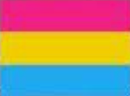 High Quality Pansexual Pride Flag Blank Meme Template