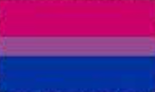 High Quality Bisexual Pride Flag Blank Meme Template