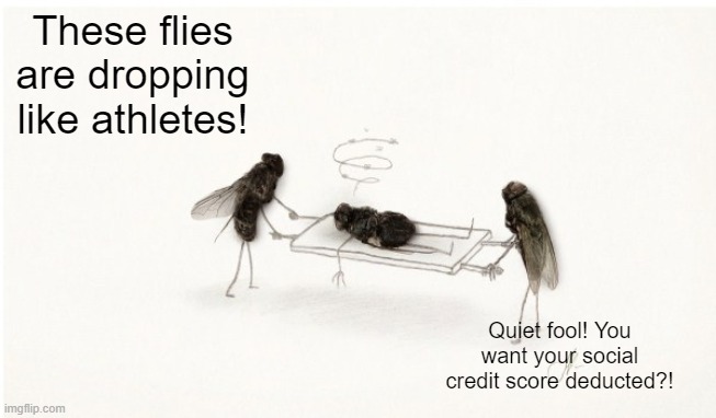 The flies have it | These flies are dropping like athletes! Quiet fool! You want your social credit score deducted?! | made w/ Imgflip meme maker