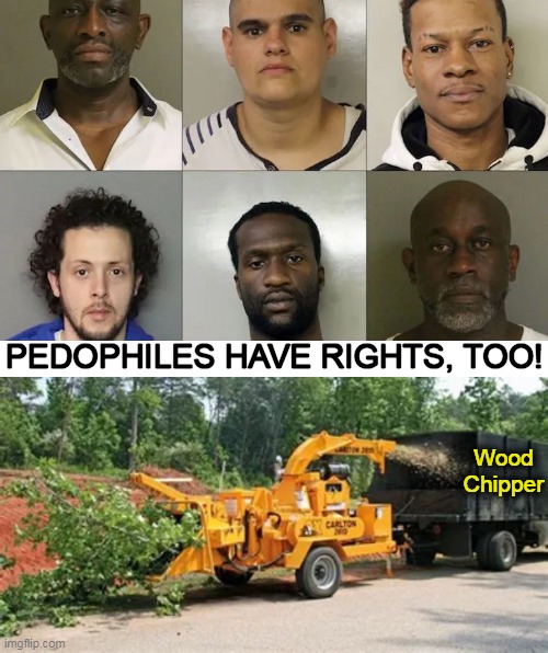 Perhaps if we had MORE of 'this', we would have LESS of 'that'... | PEDOPHILES HAVE RIGHTS, TOO! Wood
Chipper | image tagged in dark humor,pedophile,pedo,punishment,too much,or just right | made w/ Imgflip meme maker
