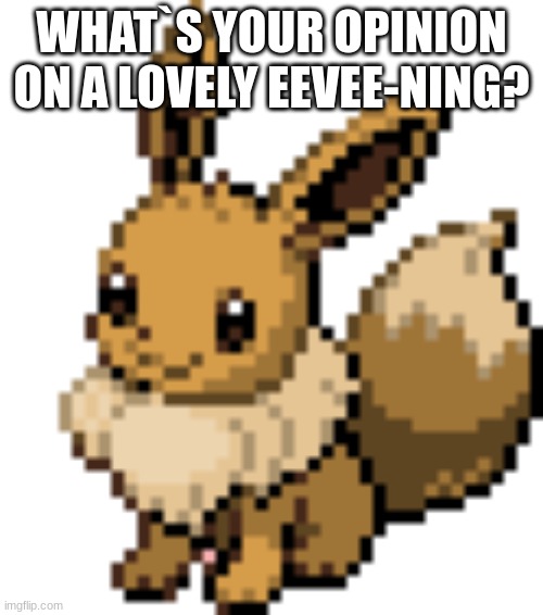 ... | WHAT`S YOUR OPINION ON A LOVELY EEVEE-NING? | image tagged in eevee | made w/ Imgflip meme maker