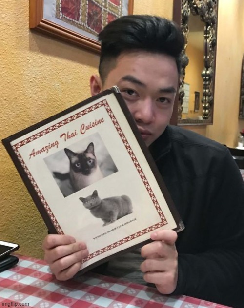 (Disclaimer) Don't worry, I'm pretty sure cats aren't actually a part of the typical Thai diet | image tagged in design fails,menu,thailand,thai,restaurant,restaurants | made w/ Imgflip meme maker