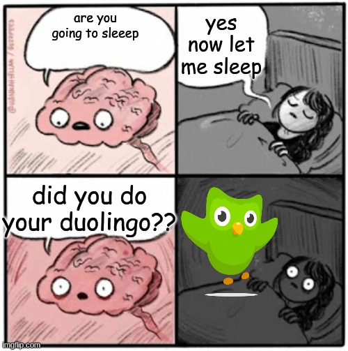 Brain Before Sleep | yes now let me sleep; are you going to sleeep; did you do your duolingo?? | image tagged in brain before sleep | made w/ Imgflip meme maker