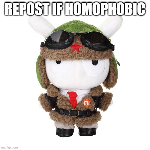 Chinese Air Forces Xiaomi Bunny Plushie | REPOST IF HOMOPHOBIC | image tagged in chinese air forces xiaomi bunny plushie | made w/ Imgflip meme maker