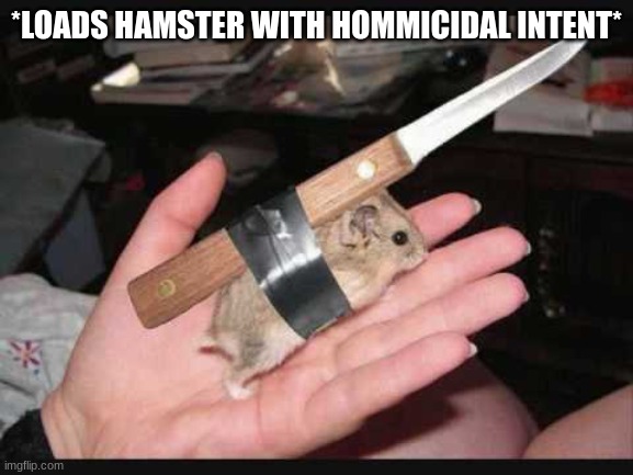 Lock and Load Hamster | *LOADS HAMSTER WITH HOMMICIDAL INTENT* | image tagged in lock and load hamster | made w/ Imgflip meme maker