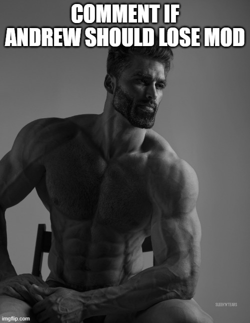 e | COMMENT IF ANDREW SHOULD LOSE MOD | image tagged in giga chad | made w/ Imgflip meme maker