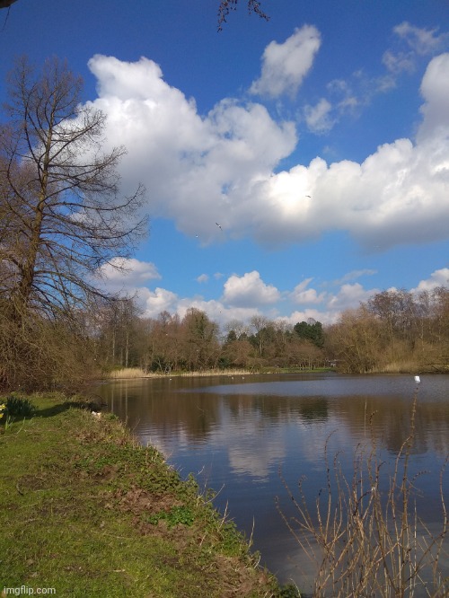 Beautiful day in the dutch Amstelpark | image tagged in netherlands | made w/ Imgflip meme maker