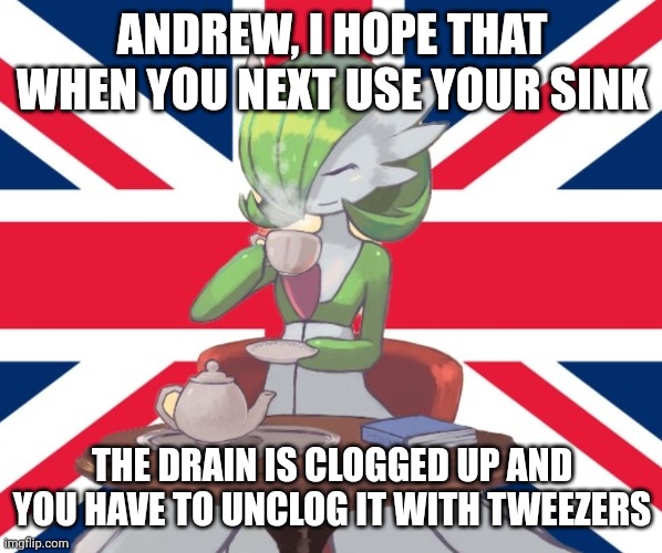 Gardi the Bri'ish | ANDREW, I HOPE THAT WHEN YOU NEXT USE YOUR SINK; THE DRAIN IS CLOGGED UP AND YOU HAVE TO UNCLOG IT WITH TWEEZERS | image tagged in gardi the bri'ish | made w/ Imgflip meme maker