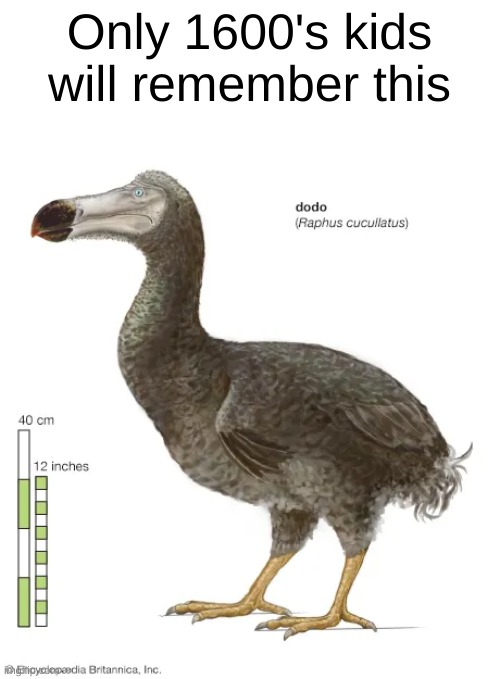Only 1600's kids will remember this | made w/ Imgflip meme maker